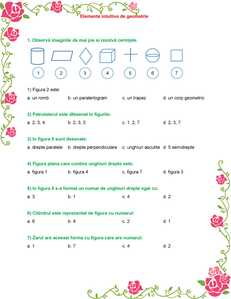 elemente intuitive de geometrie probleme rezolvate clasa a IV a 1