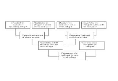 problema schema analitica 1