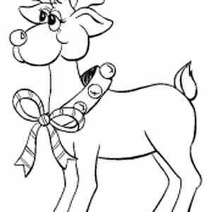 1rudolf