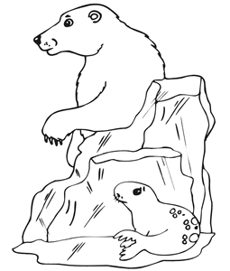 fram ursul polar fisa de lucru scoalalatim.net