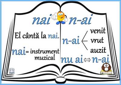 nai si n ai