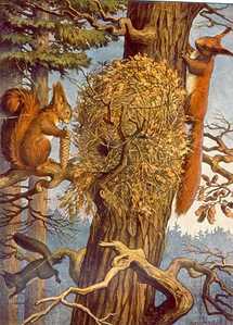 veveritele se pregatesc de iernat