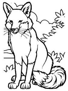 vulpița