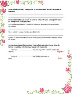 adjectivul, substantivul, evaluare, clasa a III a 2
