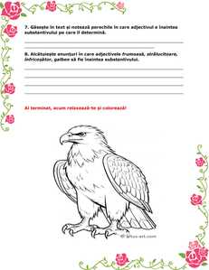 Adjectivul   Muncă independenta clasa a 3 a 3