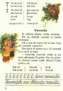 veverita