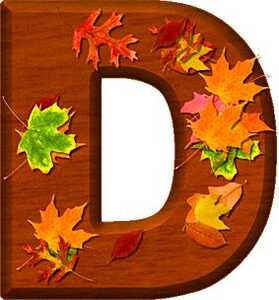 d1