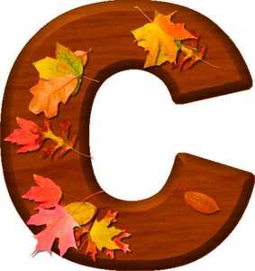 c2