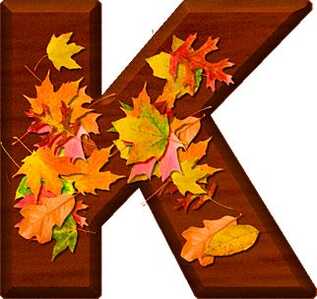 k1