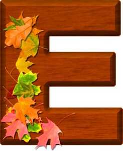 e1