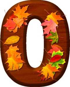 o1