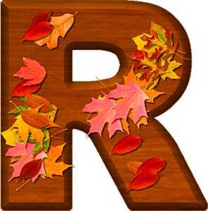 r1