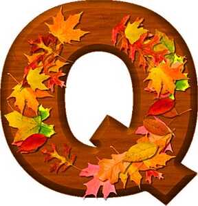 q1