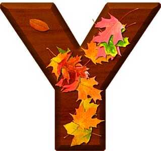 y