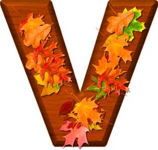 v
