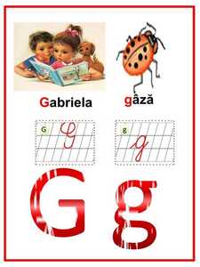 g