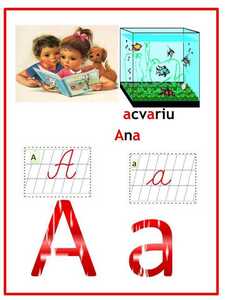 image (11)